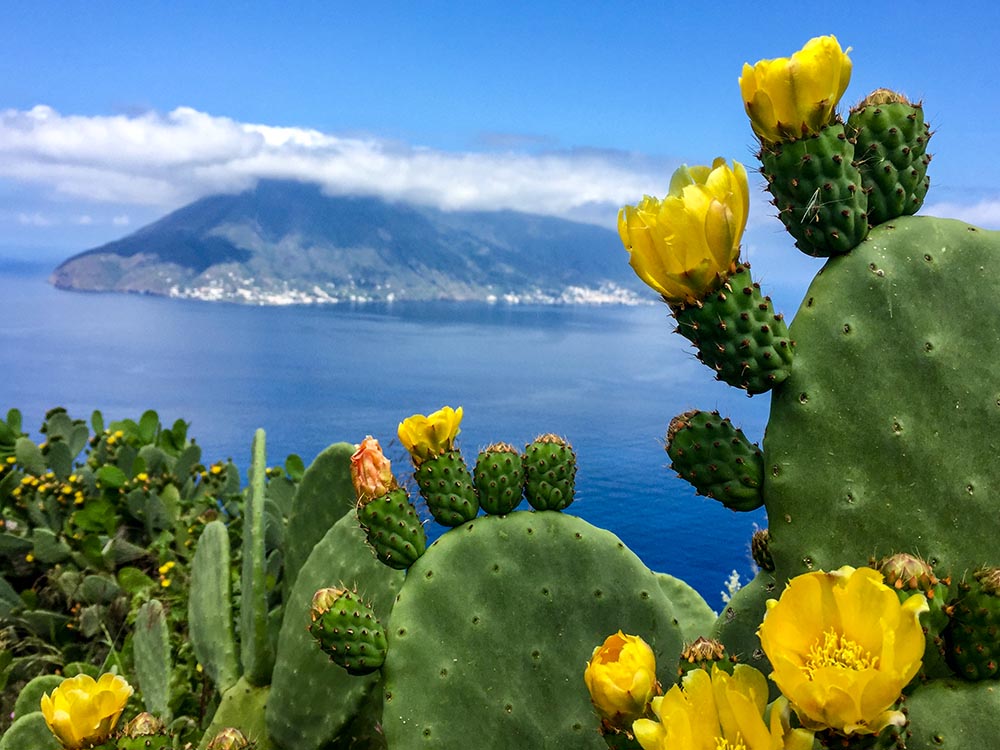 aeolian islands trip | Villa Sea Rose